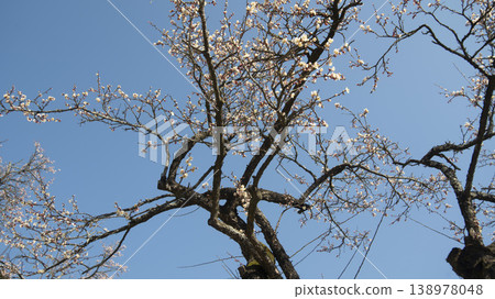 Suncheon Seonamsa Temple Suncheon Seonamsa Temple 138978048
