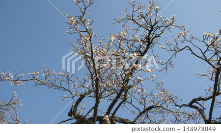 Suncheon Seonamsa Temple Suncheon Seonamsa Temple 138978049