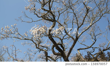 Suncheon Seonamsa Temple 138978057