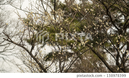 Ansan Hwarang Park Ansan Hwarang Park 138978399