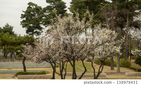 Ansan Hwarang Park Ansan Hwarang Park 138978431