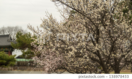 Ansan Hwarang Park 138978433