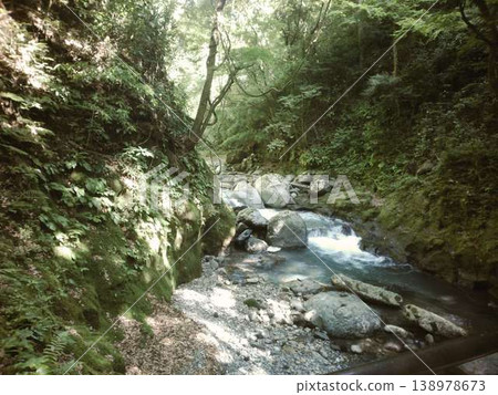 A river flowing through the forest A river flowing through the forest 138978673