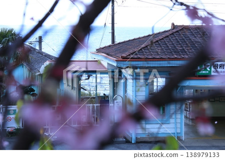 從小田原市根布川站望去,可以看到岡龜櫻花和大海。 從小田原市根布川站望去,可以看到岡龜櫻花和大海。 138979133