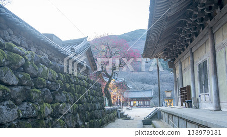 Hwaeomsa Temple red plum blossoms Hwaeomsa Temple red plum blossoms 138979181