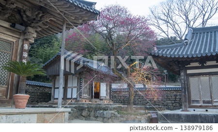 Hwaeomsa Temple red plum blossoms Hwaeomsa Temple red plum blossoms 138979186
