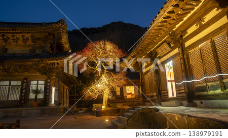 Hwaeomsa Temple red plum blossoms 138979191