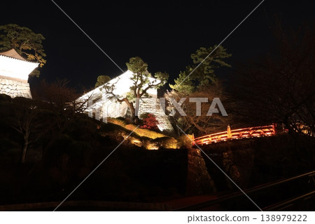 小田原城周圍的春夜景色 小田原城周圍的春夜景色 138979222