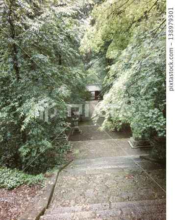 An approach to the entrance wrapped in fresh green An approach to the entrance wrapped in fresh green 138979301