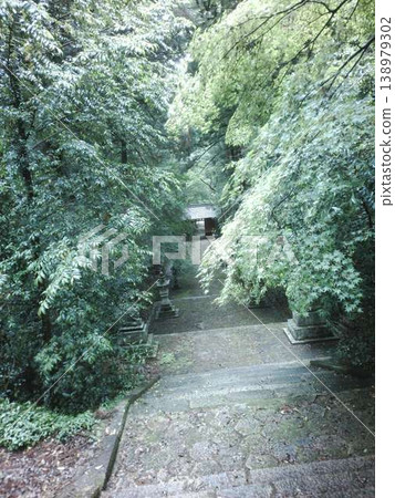A path surrounded by green A path surrounded by green 138979302