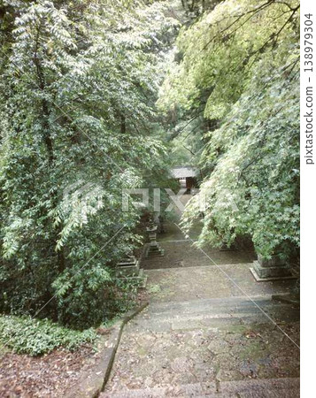 The approach surrounded by greenery The approach surrounded by greenery 138979304