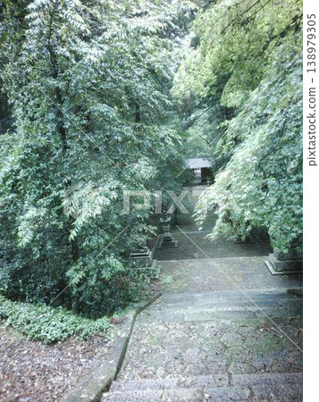 An approach to the entrance wrapped in fresh green An approach to the entrance wrapped in fresh green 138979305