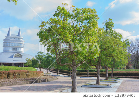 在陽光明媚的日子裡，公園景色宜人（福井縣 - 福井縣立綠色中心） 138979405