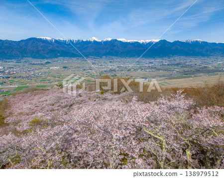 【無人機空拍】北阿爾卑斯山脈古城山上的櫻花,以及長野縣安曇野市的街景 【無人機空拍】北阿爾卑斯山脈古城山上的櫻花,以及長野縣安曇野市的街景 138979512