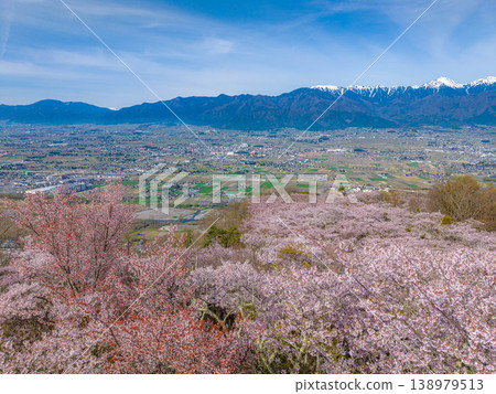 【無人機空拍】北阿爾卑斯山脈古城山上的櫻花,以及長野縣安曇野市的街景 【無人機空拍】北阿爾卑斯山脈古城山上的櫻花,以及長野縣安曇野市的街景 138979513