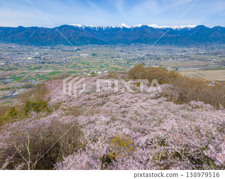 【無人機空拍】北阿爾卑斯山脈古城山上的櫻花,以及長野縣安曇野市的街景 【無人機空拍】北阿爾卑斯山脈古城山上的櫻花,以及長野縣安曇野市的街景 138979516