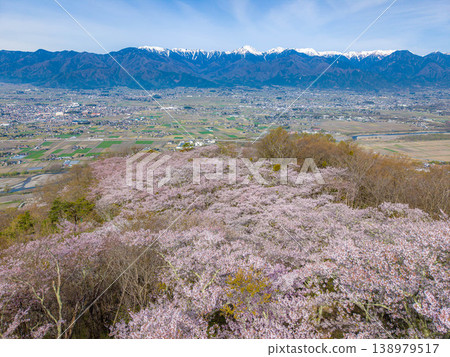 【無人機空拍】北阿爾卑斯山脈古城山上的櫻花,以及長野縣安曇野市的街景 【無人機空拍】北阿爾卑斯山脈古城山上的櫻花,以及長野縣安曇野市的街景 138979517