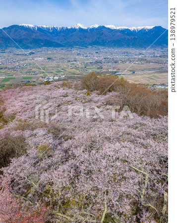 【無人機空拍】北阿爾卑斯山脈古城山上的櫻花,以及長野縣安曇野市的街景 【無人機空拍】北阿爾卑斯山脈古城山上的櫻花,以及長野縣安曇野市的街景 138979521