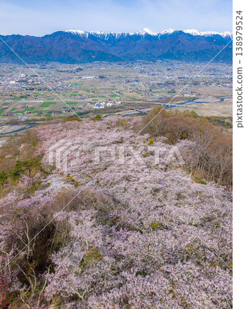 【無人機空拍】北阿爾卑斯山脈古城山上的櫻花，以及長野縣安曇野市的街景 138979524