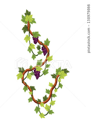 Grape bunch. Cluster of berries and leaves. Grape vine, decorative climbing plant. Fruit, growing healthy food isolated on white background Grape bunch. Cluster of berries and leaves. Grape vine, decorative climbing plant. Fruit, growing healthy food isolated on white background 138979866