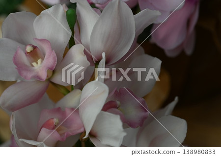 紫色蘭花 紫色蘭花 138980833