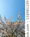 Cherry blossoms and blue sky 138981199