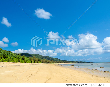 Minamikazumida Beach (Iriomote Island, Okinawa Prefecture) 138982009