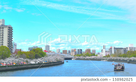 橋樑和成排的櫻花樹橫跨流經城市的河流。 橋樑和成排的櫻花樹橫跨流經城市的河流。 138982025