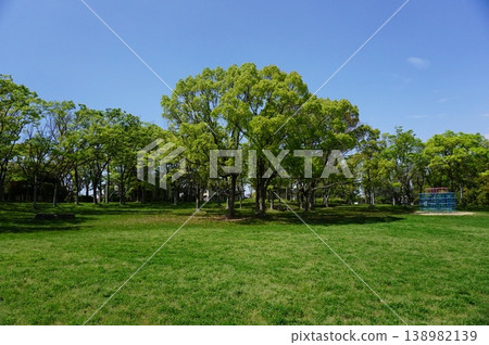 Springtime lush green park Springtime lush green park 138982139