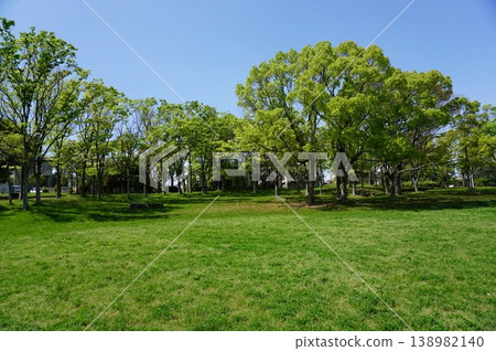 春意盎然的公園 春意盎然的公園 138982140