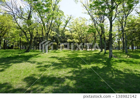 春意盎然的公園 春意盎然的公園 138982142