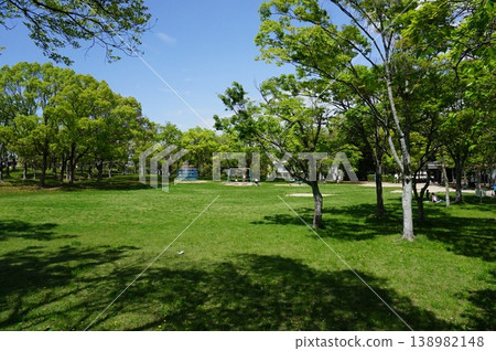 Springtime lush green park 138982148