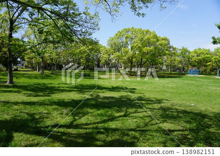 Springtime lush green park Springtime lush green park 138982151