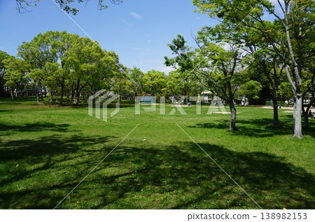 春意盎然的公園 春意盎然的公園 138982153