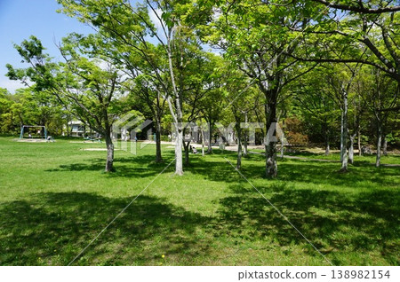 Springtime lush green park Springtime lush green park 138982154