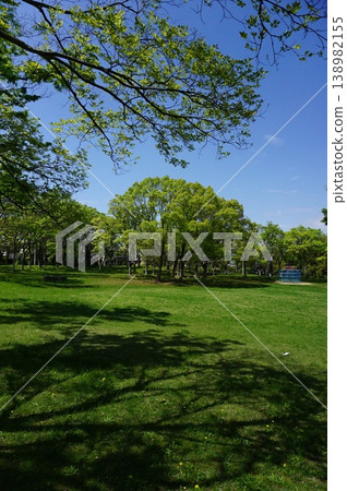 Springtime lush green park Springtime lush green park 138982155
