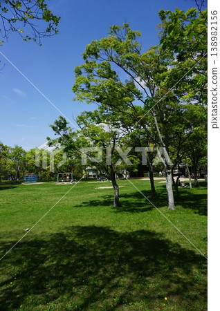 Springtime lush green park Springtime lush green park 138982156