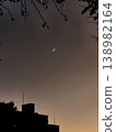 The moon setting over the city and the branches of a tree 138982164