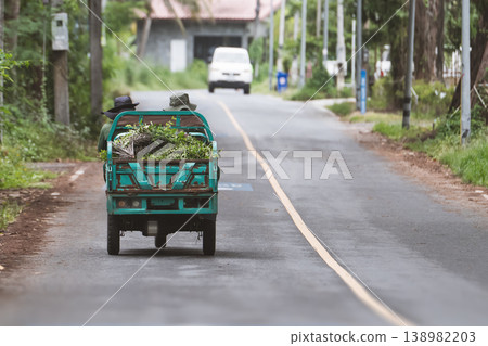 Authentic Thailand: A green electric cargo tricycle loaded with agricultural waste or branches rides along a rural road in southern Thailand in Mai Khao district during the day, rear view. It is a 138982203