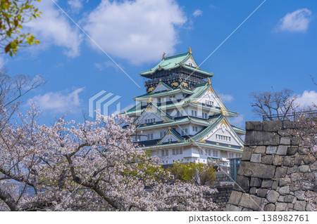 大阪城堡在盛開的城堡塔 大阪城堡在盛開的城堡塔 138982761