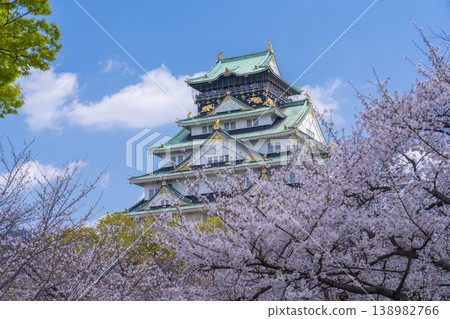 大阪城堡在盛開的城堡塔 大阪城堡在盛開的城堡塔 138982766