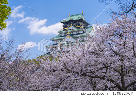 Osaka Castle castle tower in full bloom 138982767