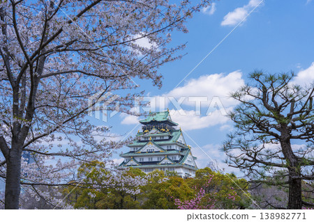 大阪城堡在盛開的城堡塔 大阪城堡在盛開的城堡塔 138982771