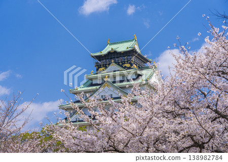 大阪城堡在盛開的城堡塔 大阪城堡在盛開的城堡塔 138982784