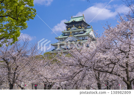 大阪城堡在盛開的城堡塔 大阪城堡在盛開的城堡塔 138982809
