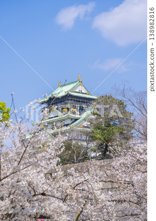 大阪城堡在盛開的城堡塔 大阪城堡在盛開的城堡塔 138982816