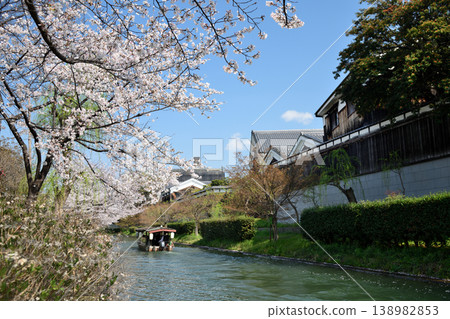 A Jikkoku boat sailing down the Horikawa River in spring, and sake breweries in Fushimi [Fushimi Ward, Kyoto City, Kyoto Prefecture] 138982853