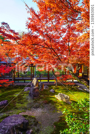 建仁寺鹽音庭園紅葉 建仁寺鹽音庭園紅葉 138983001