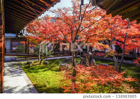 Kenninji Temple Shione Garden Autumn Leaves Kenninji Temple Shione Garden Autumn Leaves 138983005