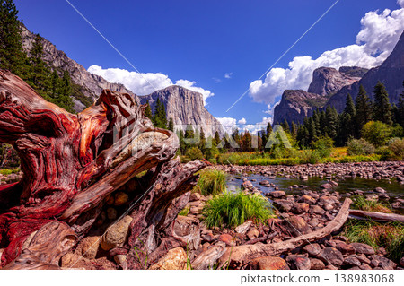 Yosemite valley, Yosemite national park, california 138983068